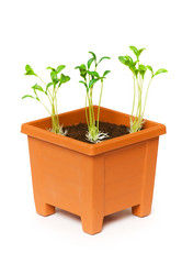 Similar image 255725