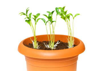 Similar image 255726