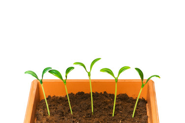 Similar image 255727