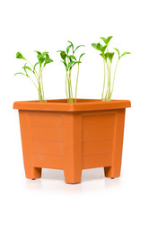 Similar image 255728