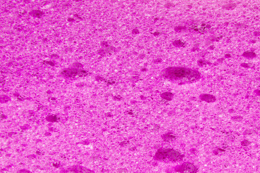 Similar image 255738