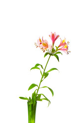 Similar image 255747