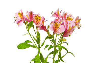 Similar image 255748