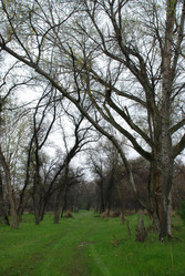 Similar image 255762