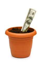 Similar image 255763