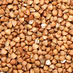 Similar image 255773