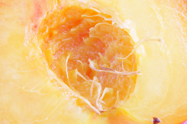 Similar image 255787