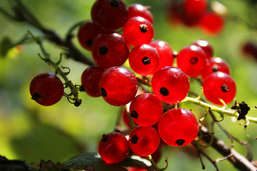 Similar image 255815