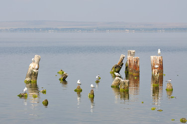 Similar image 255820