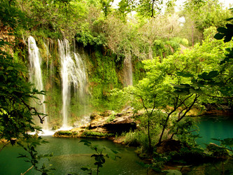 Similar image 255826