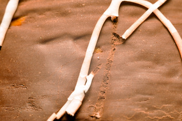 Similar image 255835