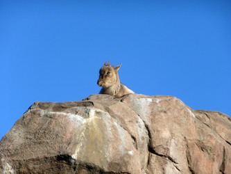 Similar image 255850