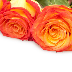 Similar image 255864