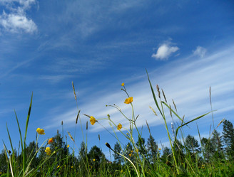 Similar image 255904