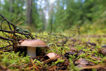 Similar image 255917