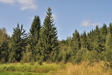 Similar image 255925