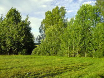 Similar image 255929