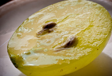 Similar image 255930