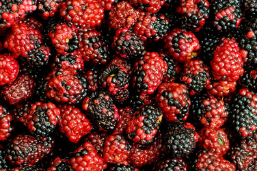 Similar image 255939