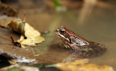 Similar image 255943