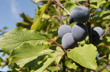 Similar image 255949