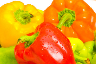 Similar image 255957