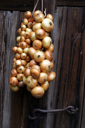 Similar image 255963