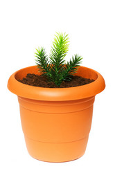 Similar image 255970