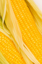 Similar image 255972