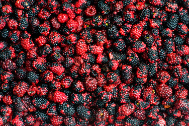 Similar image 255980