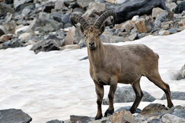 Similar image 255984