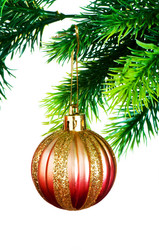 Similar image 256003