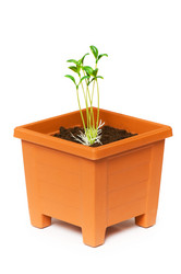 Similar image 256032