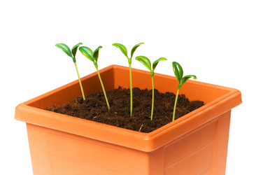 Similar image 256033