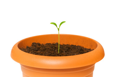 Similar image 256034