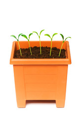 Similar image 256079