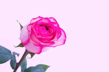 Similar image 256117