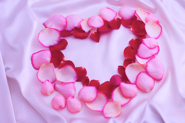 Similar image 256118