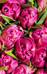 Similar image 256124