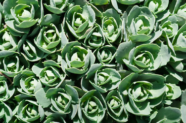 Similar image 256127