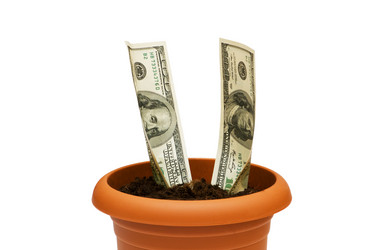 Similar image 256170