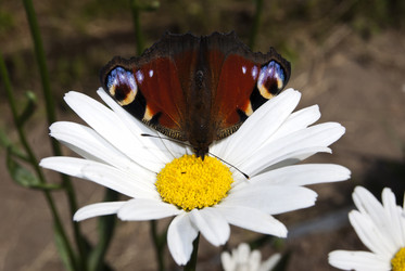 Similar image 256201