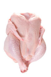 Similar image 256205