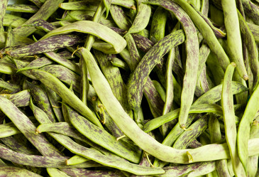 Similar image 256214