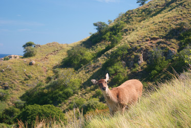 Similar image 256236