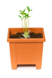 Similar image 256255