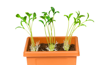 Similar image 256257