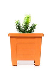 Similar image 256258