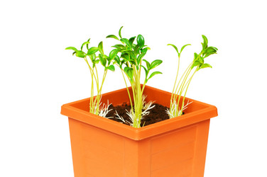 Similar image 256259