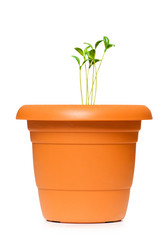 Similar image 256260